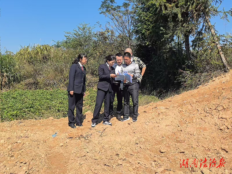 汨羅檢察亮劍：150 余畝 “非農(nóng)化” 耕地復(fù)耕，筑牢糧食安全防線