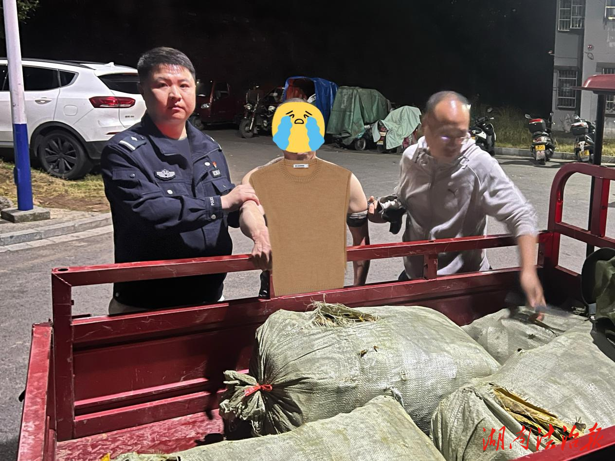 黃柏樹(shù)皮不翼而飛 鳳凰警方抓獲“剝皮大盜”