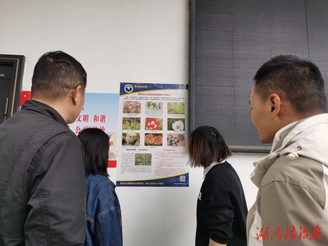 荷塘區(qū)桂花街道：禁種鏟毒，人人有責