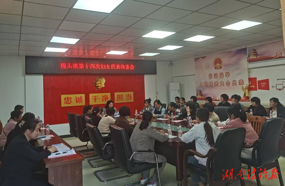新田縣枧頭鎮(zhèn)：婦女代表執(zhí)委會開展法治宣教活動