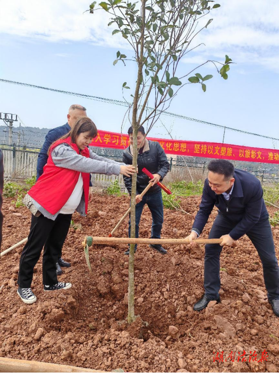 衡陽縣西渡鎮(zhèn)：落實林長制 增添綠動力