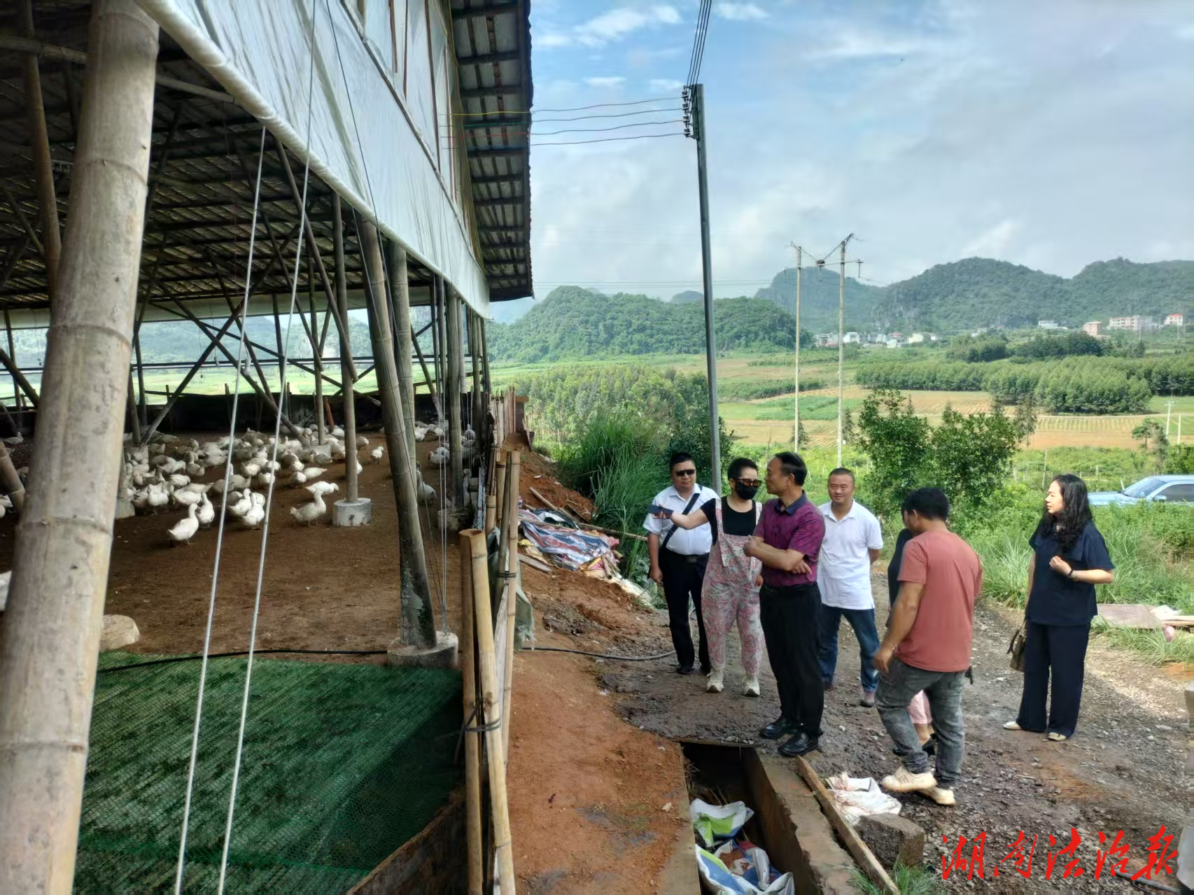 江永縣政協(xié)、畜牧水產(chǎn)事務(wù)中心調(diào)研家禽和肉鴿養(yǎng)殖發(fā)展情況