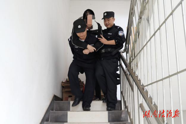 背上國徽去開庭丨鳳凰法院：你邁不過的坎，我們背你跨越