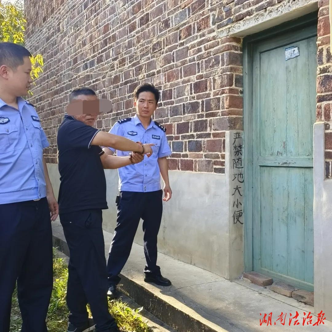 有盜必擒！洞口公安破獲多起盜竊案