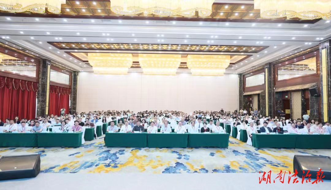 第六屆湖湘腎臟健康服務(wù)論壇湖南省健康服務(wù)業(yè)協(xié)會(huì)腎健康分會(huì)2025年會(huì)在邵陽(yáng)舉行