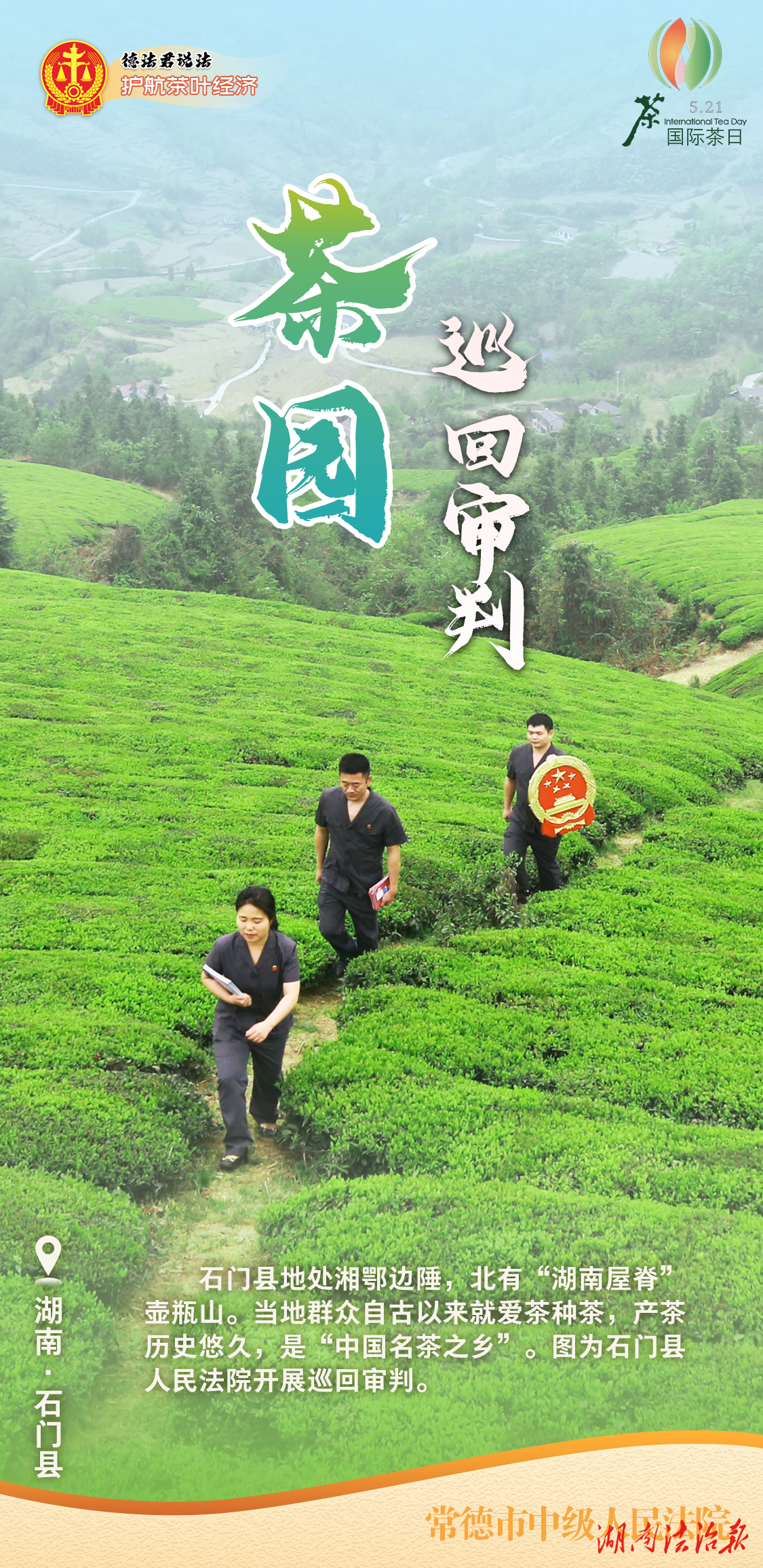 國際茶日：常德法院護航茶業(yè)經(jīng)濟高質(zhì)量發(fā)展