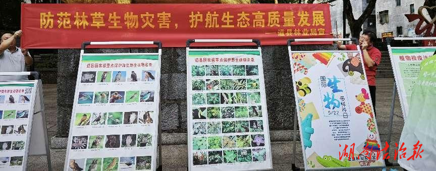 道縣持續(xù)開展林業(yè)有害生物防控大宣傳