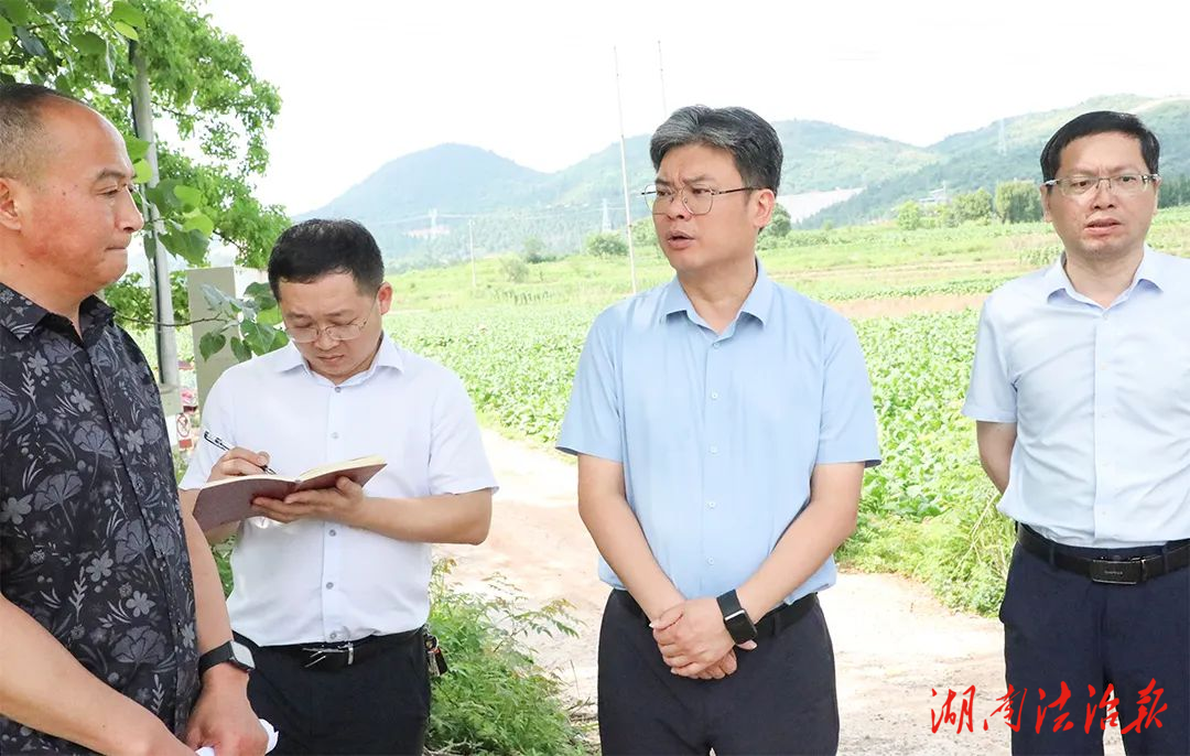 新田：縣委書記陳雄開展帶案下訪活動(dòng)
