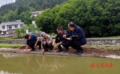 精準監(jiān)督推動高標準農(nóng)田建設