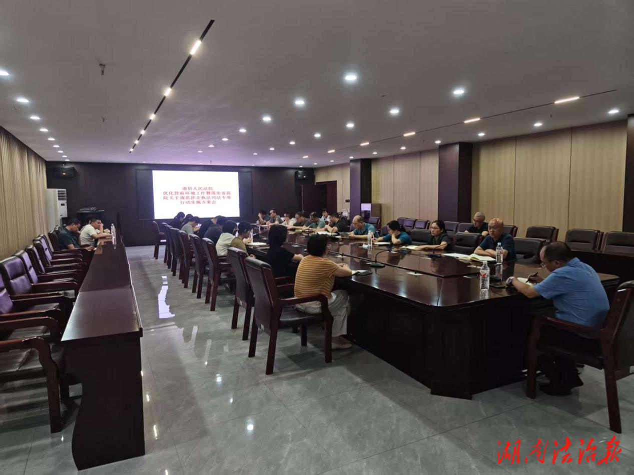 道縣人民法院召開優(yōu)化營商環(huán)境工作暨落實省高院關(guān)于規(guī)范涉企執(zhí)法司法專項行動實施方案會議