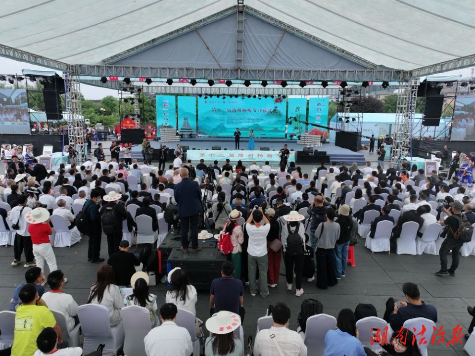 靖州有“梅”景，邀您同醉——2025年靖州縣第十三屆楊梅節(jié)活動盛夏啟幕