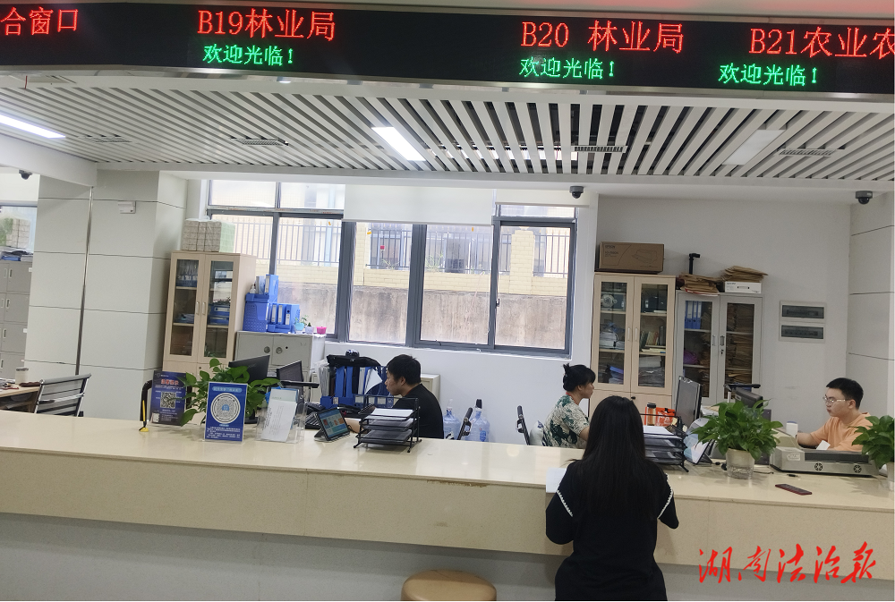 道縣多舉措便民辦理林木采伐?許可
