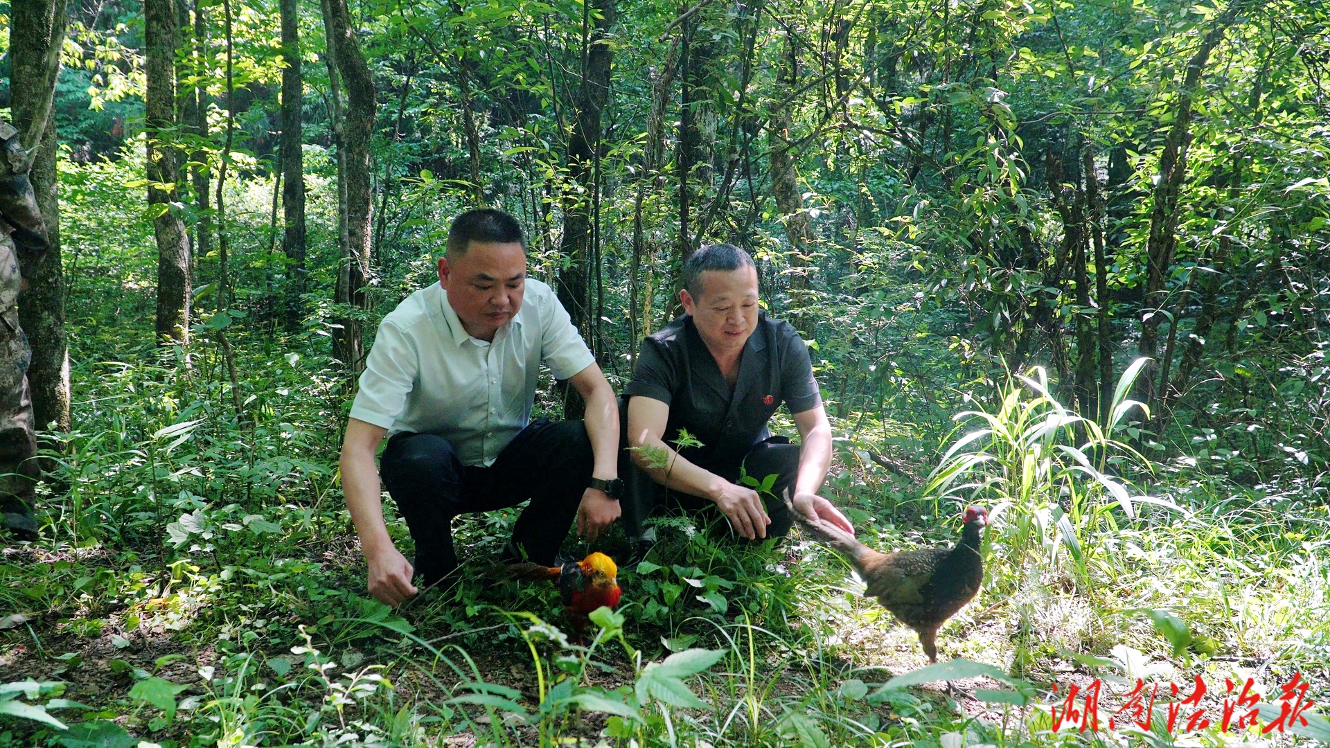 落實(shí)生態(tài)修復(fù)回訪 賦能基地長效化發(fā)展