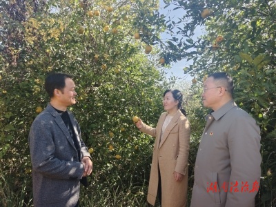心懷“國(guó)之大者”  辦好為民實(shí)事｜小枳殼成為群眾致富“金果果” 安仁縣全鏈條監(jiān)督護(hù)航枳殼產(chǎn)業(yè)發(fā)展