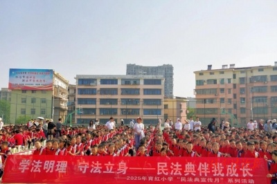 法治副校長以案說法