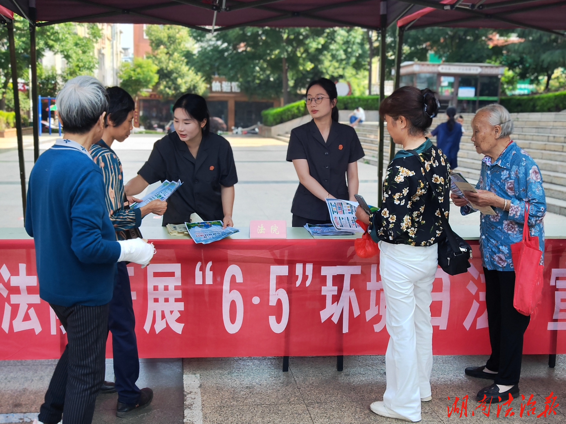 新田法院：以“法”之名 共護“青綠”