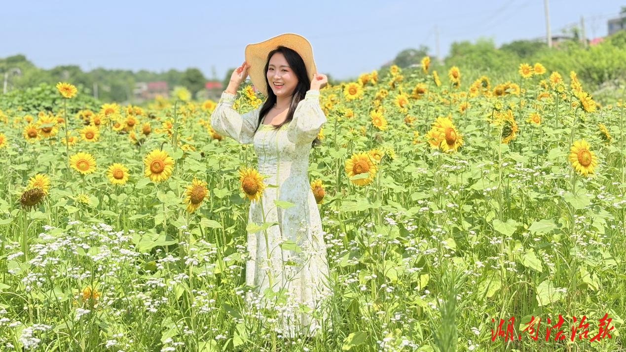 湖南邵東“追光農(nóng)人”和她的智慧農(nóng)莊