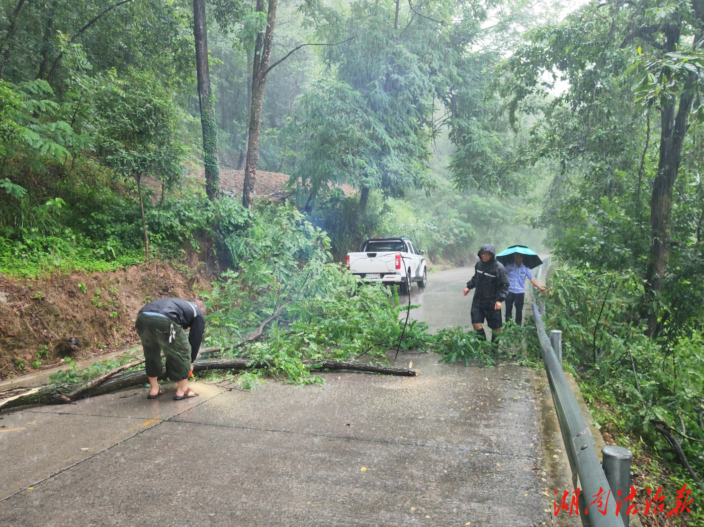 【我為群眾辦實事】暴雨肆虐！大樹突變“攔路虎”，花垣公安及時清障護民生