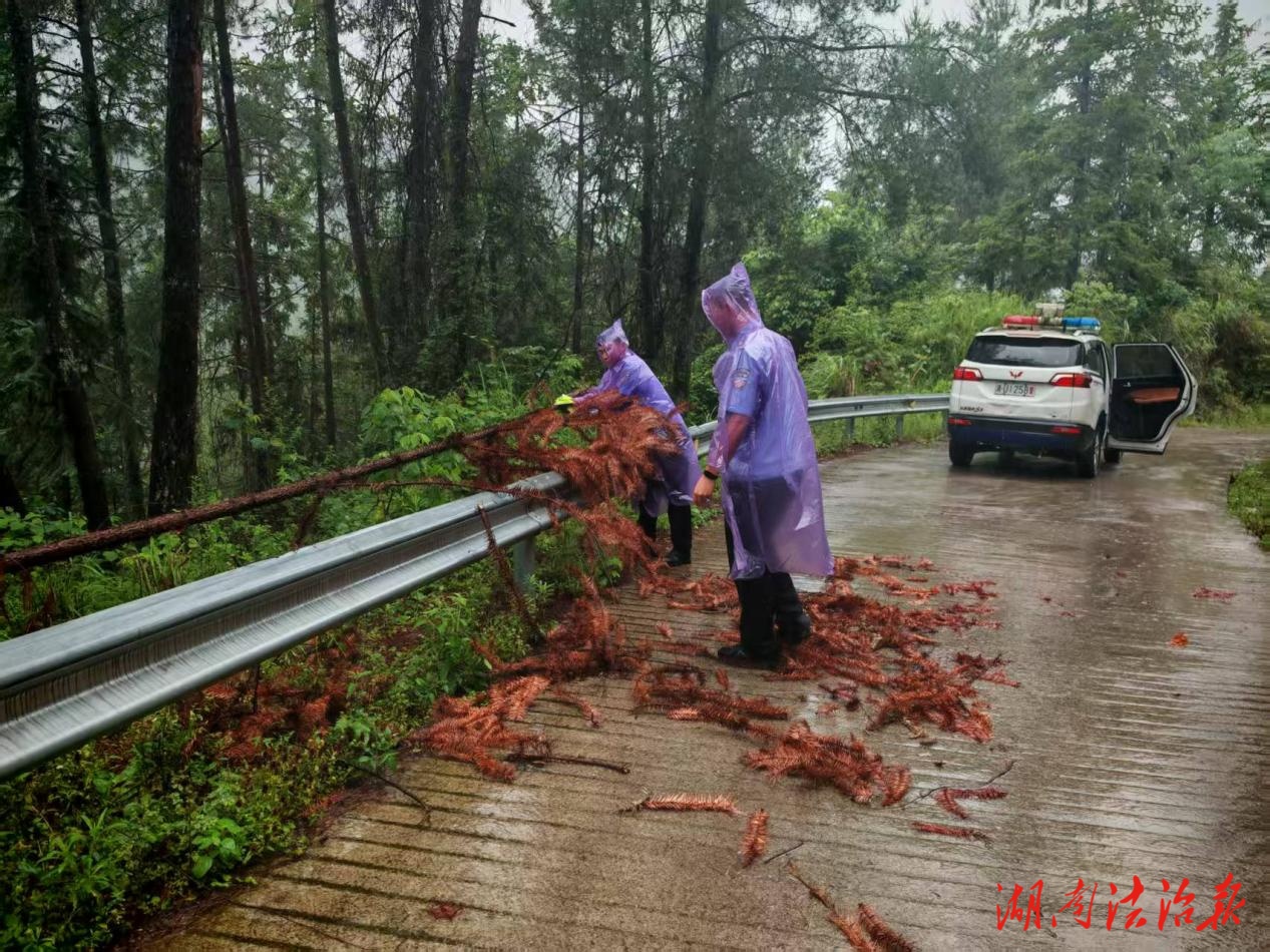 風雨兼程護通途 龍山公安全力排查道路河道險情