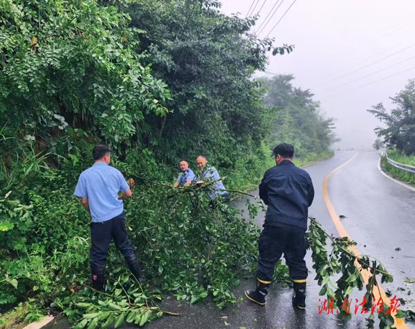 暴雨大風(fēng)致樹(shù)木傾倒，民警上路清障保暢