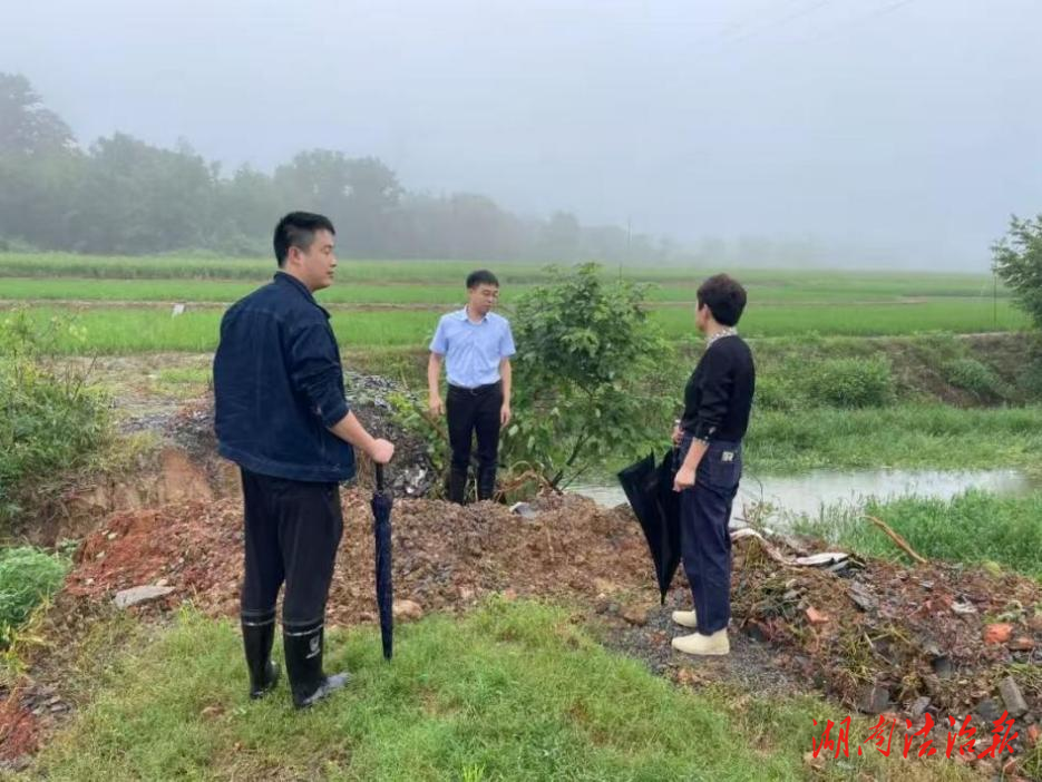 心系防汛抗災(zāi) 守護(hù)百姓家園 ——湖南省漢壽縣2000多名四級(jí)人大代表戰(zhàn)洪魔紀(jì)實(shí)