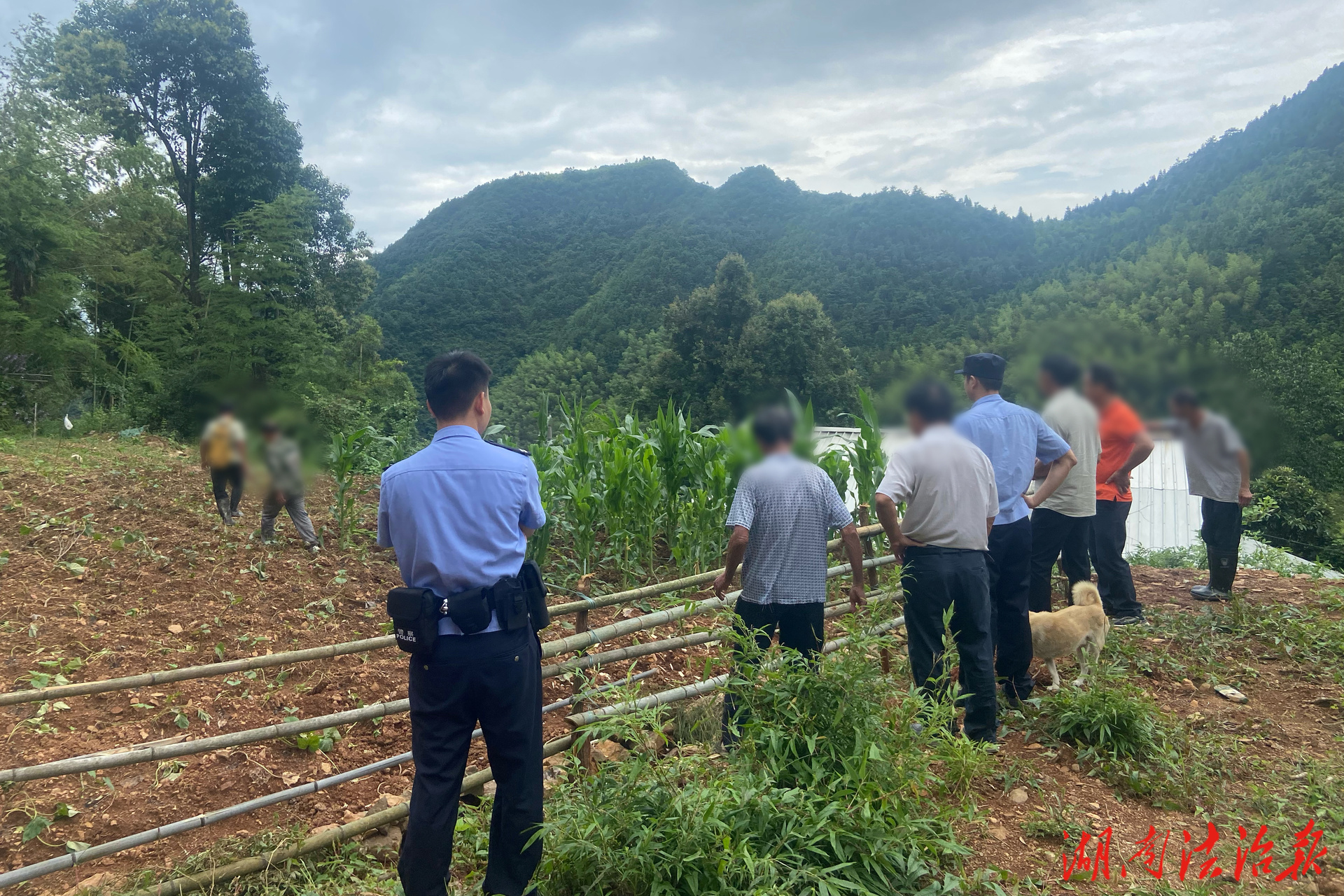 貪吃?！敖M團”闖禍  民警調解促和諧