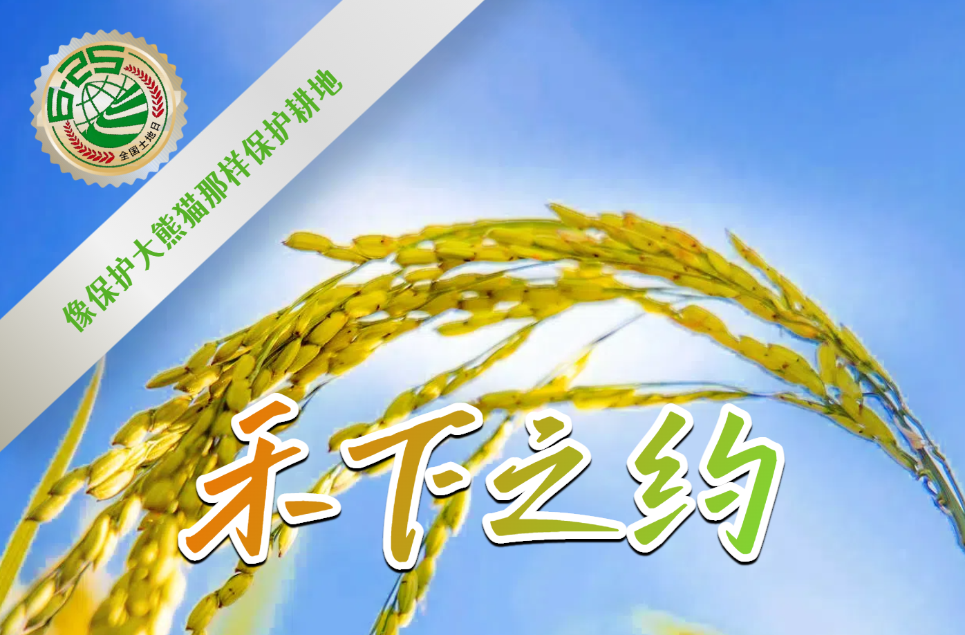 【全國土地日特別企劃】海報｜禾下之約