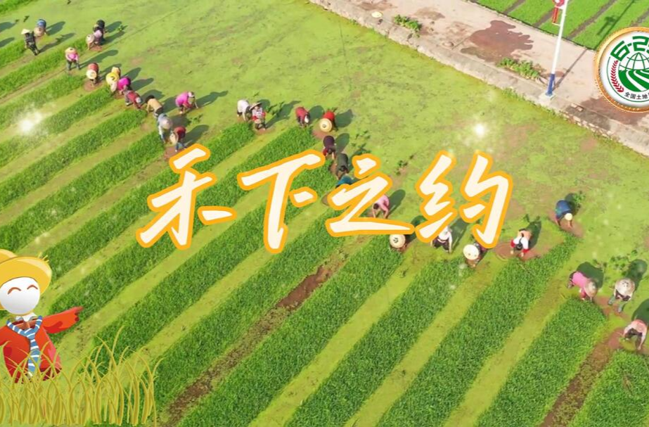 【全國土地日特別企劃】｜禾下之約