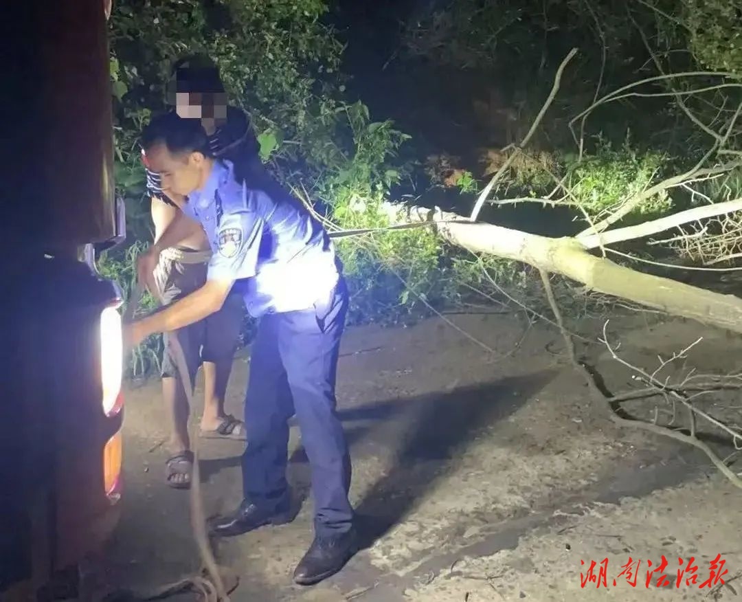 大樹突變“攔路虎”民警變身“清障工”
