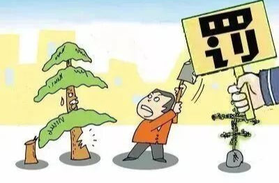 永定區(qū)法院：司法亮劍護青山 執(zhí)裁一體促新生