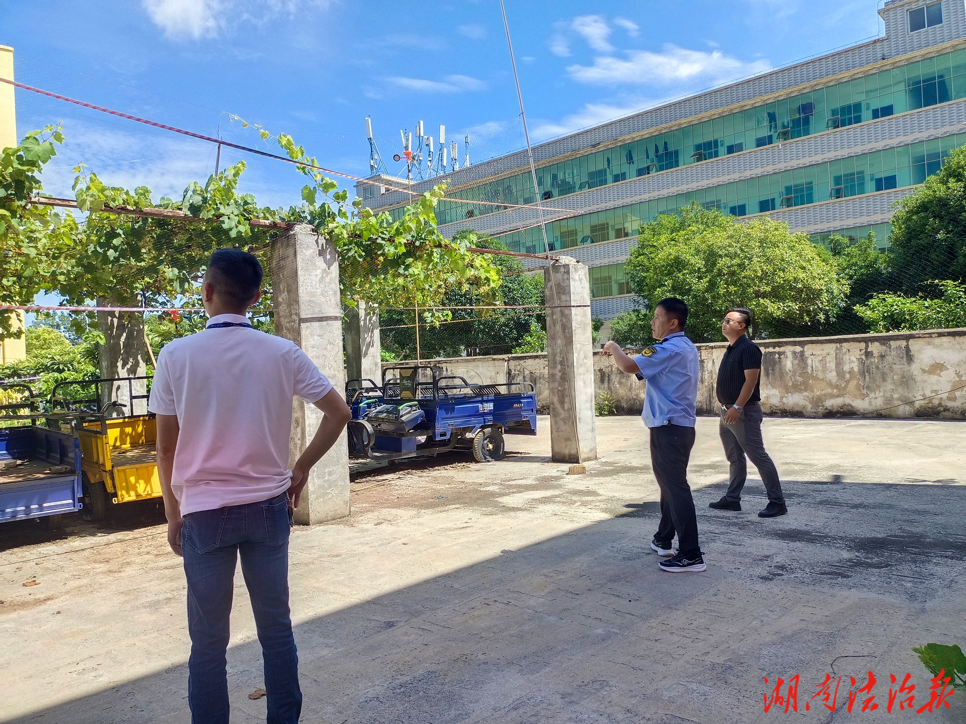 道縣東門街道：愛(ài)鳥(niǎo)護(hù)民雙措并舉 共筑生態(tài)和美家園