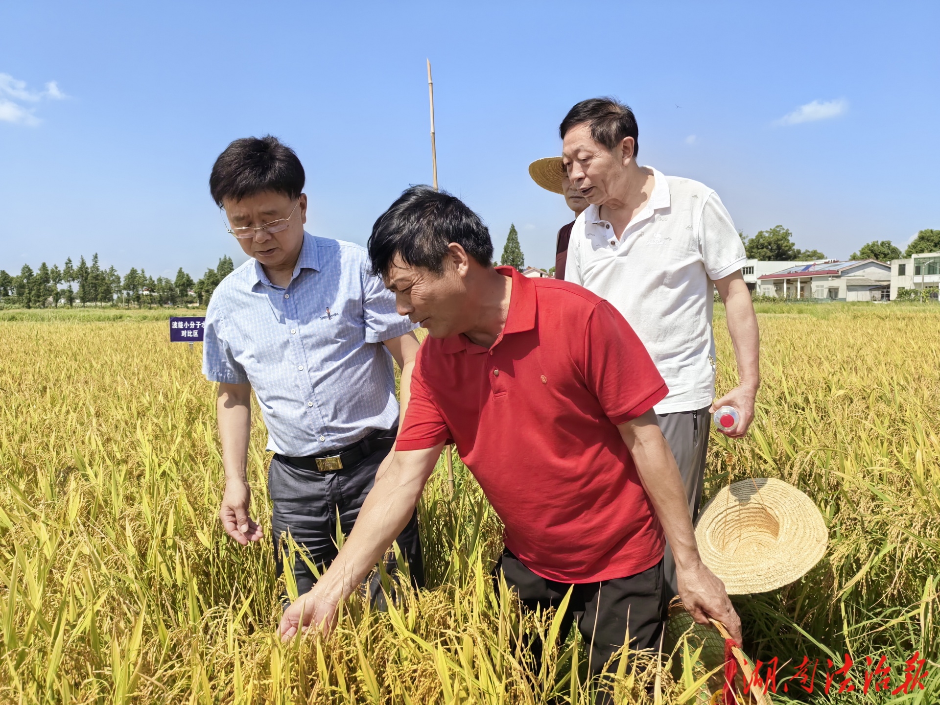 益陽市老科協(xié)田間送科技