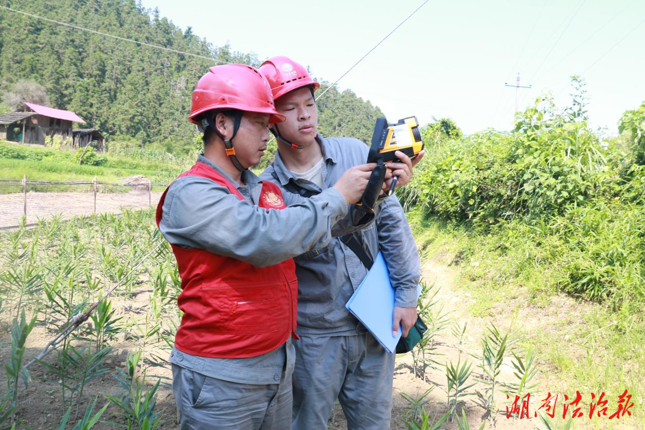 國網(wǎng)雙牌縣供電公司：高溫巡檢不松懈 筑牢迎峰保電“安全網(wǎng)”