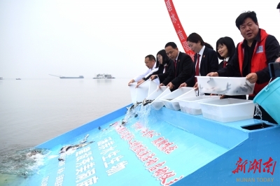 洞庭潮涌處 法徽映文明——岳陽縣人民法院的 “文明續(xù)航” 之路