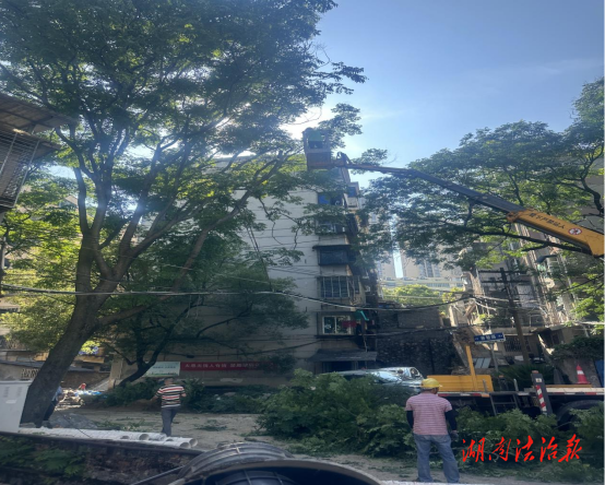 北湖區(qū)北湖街道：枝葉關情除隱患?監(jiān)督護航解民憂