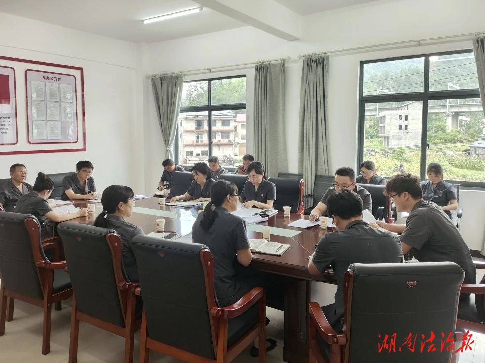 永定區人民法院召開人民法庭上半年工作會議