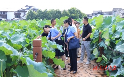 公益訴訟“圍剿”福壽螺