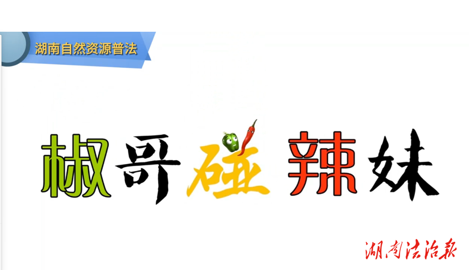 椒哥碰辣妹‖農地事務咨詢所日記③農村建房網上審批，不用來回跑