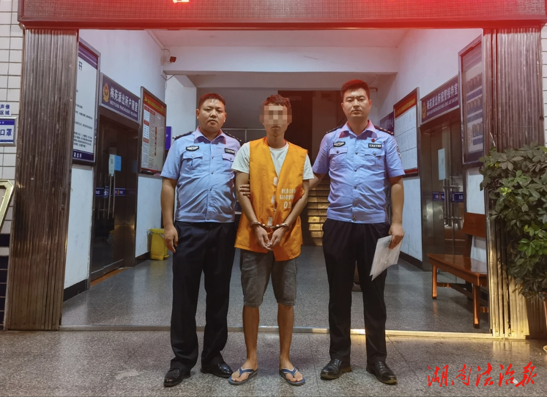 打擊非法狩獵，守護藍天精靈