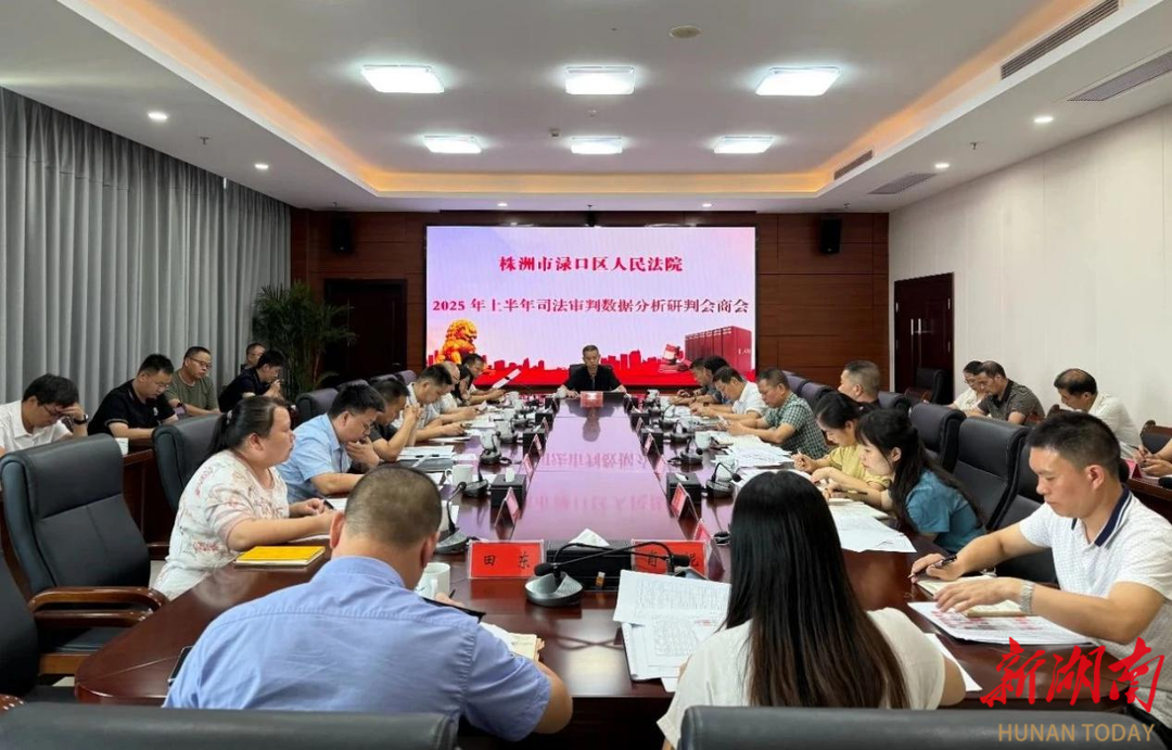 株洲淥口區法院召開2025年上半年司法審判數據會商會
