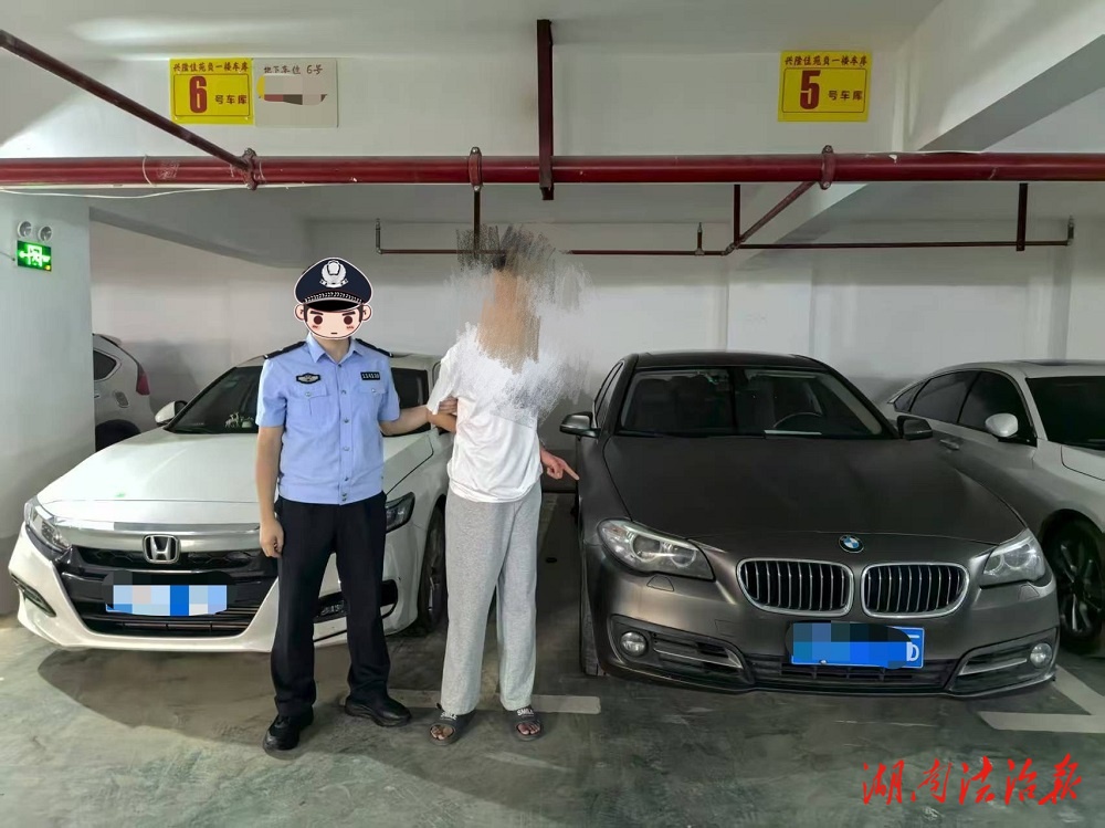 【平安護航2025】車門一拉，鐵定被抓！藍山公安24小時速破一起“拉車門”盜竊案