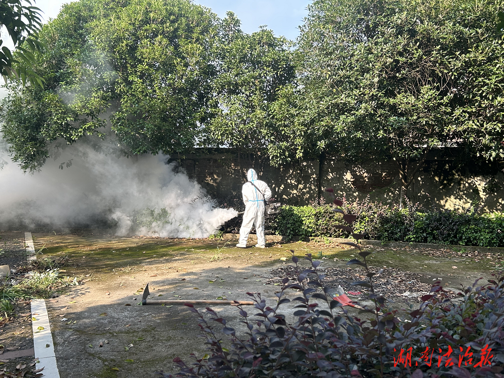 祁陽市下馬渡衛生院以“愛國衛生”為利劍，筑牢基孔肯雅熱防控“安全墻”