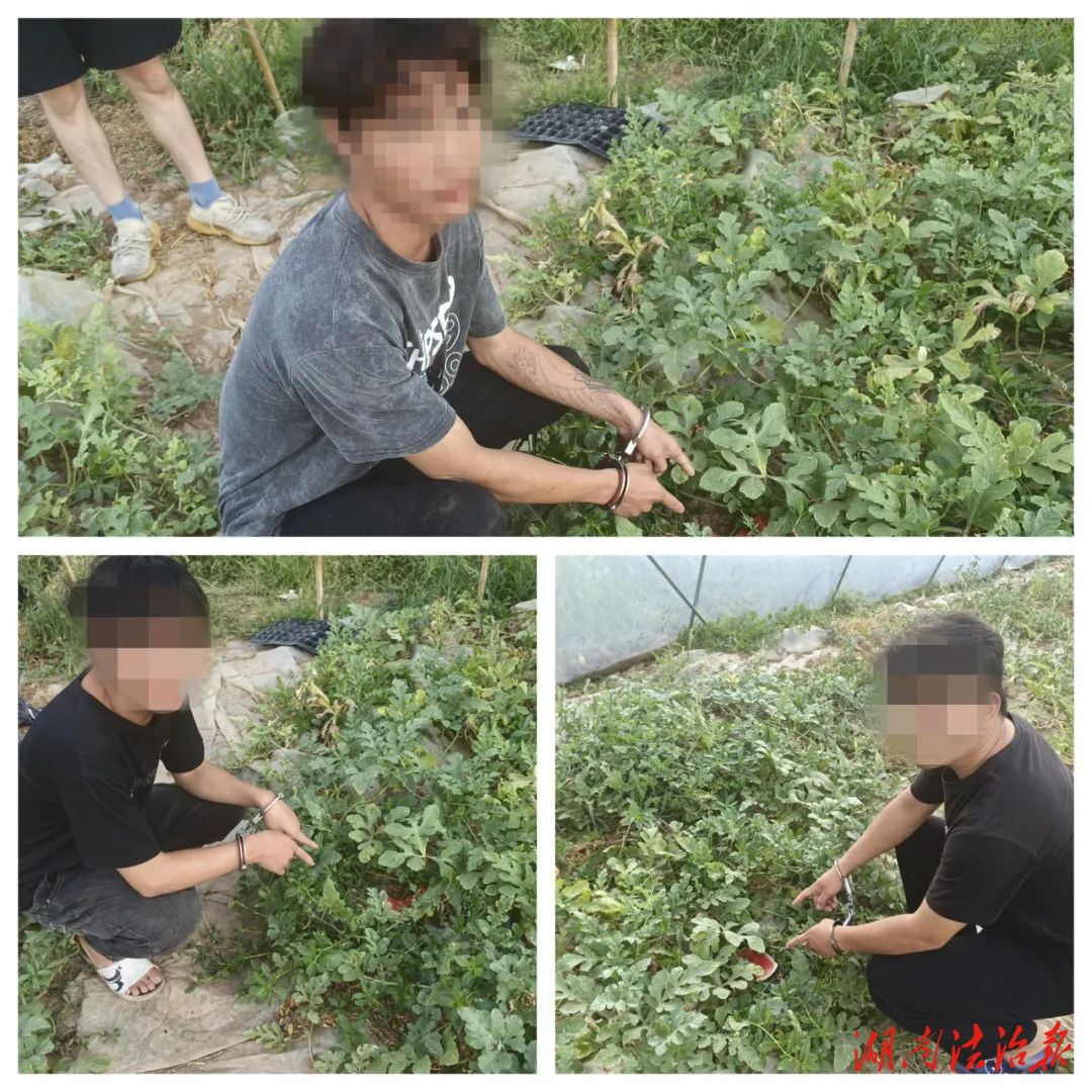 偷幾個西瓜“小事”？民警：好家伙，駕駛的摩托車都是偷來的！