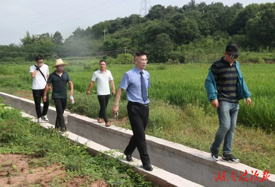 雨母山的水塘又“活”了