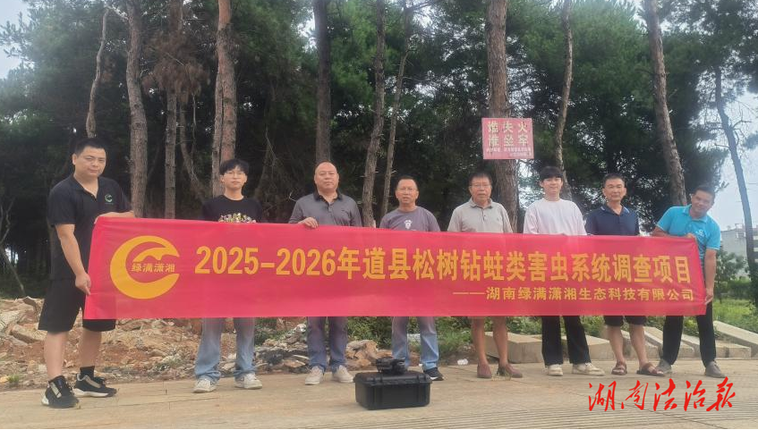 道縣開展松樹鉆蛀類害蟲系統(tǒng)調(diào)查