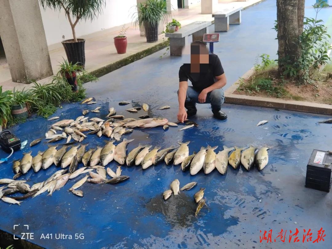 深夜出击，3人落网！衡山公安破获一起非法电捕鱼案件
