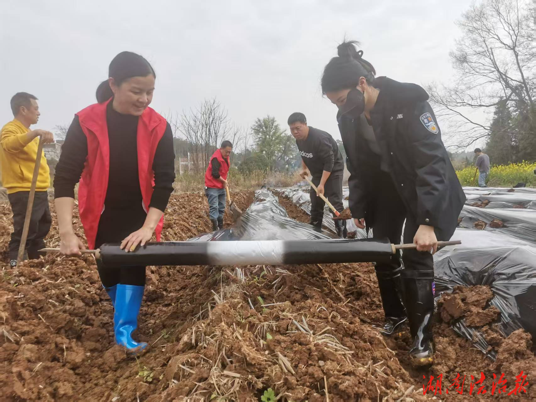 藍(lán)山縣司法局：黨員干部齊上陣 烤煙移栽促振興