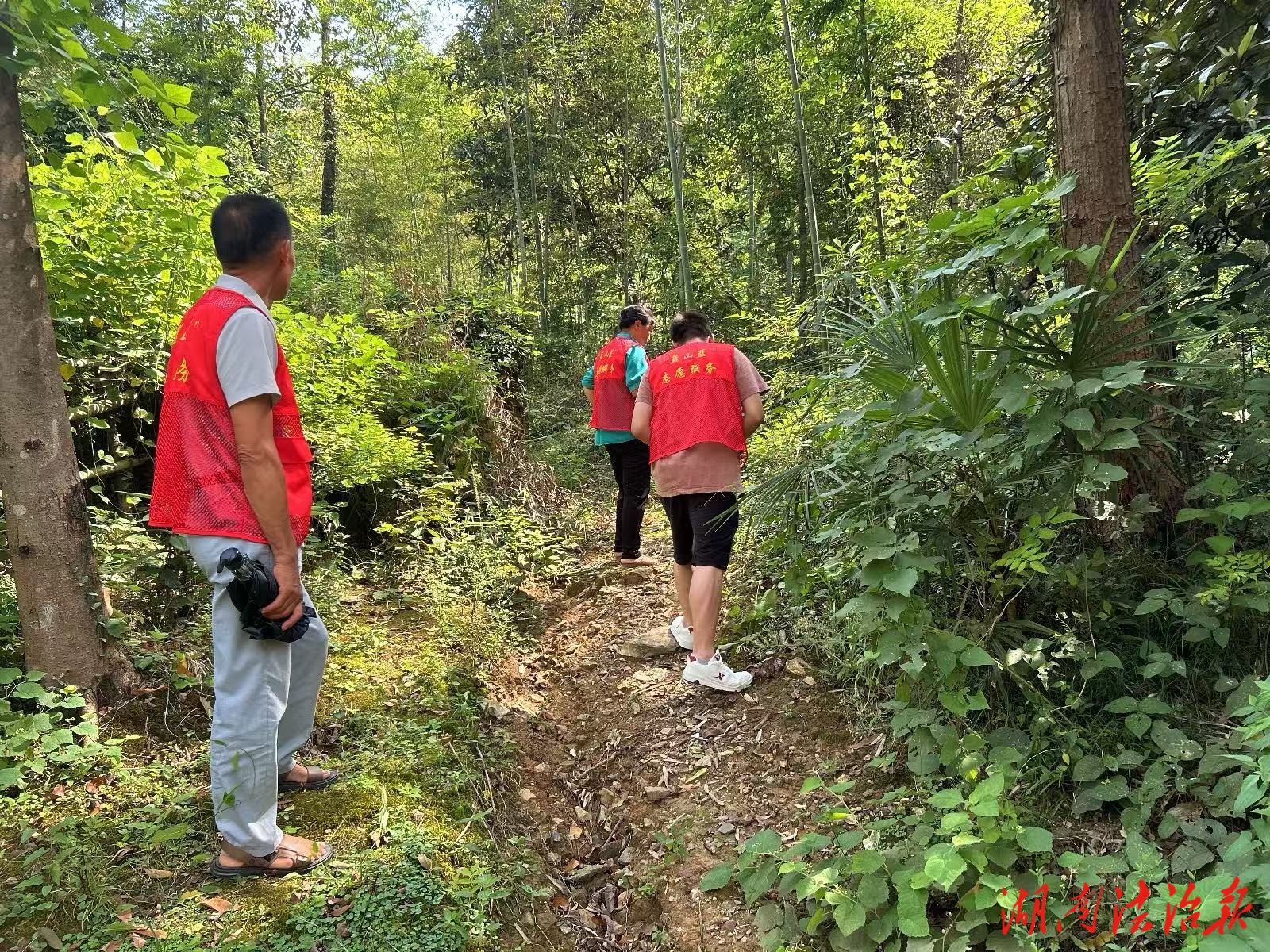 蓝山县祠堂圩镇：织密禁种铲毒网 守护乡村“无毒”环境
