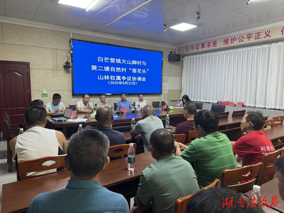 创新机制高效定权属，40年山林纠纷终化解