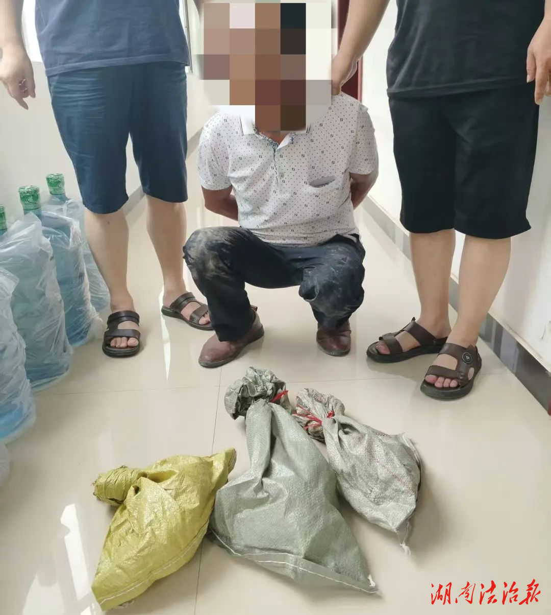 两男子危害珍贵、濒危野生动物，刑拘！